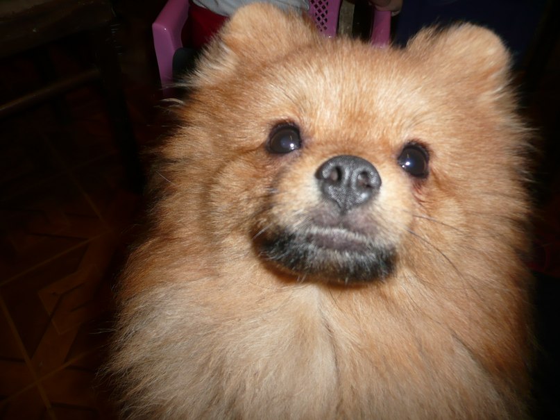 Маша Цыцатая | Вараш / Кузнецовск