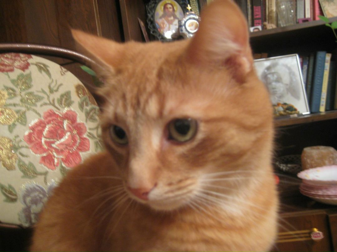 Александр Карев 