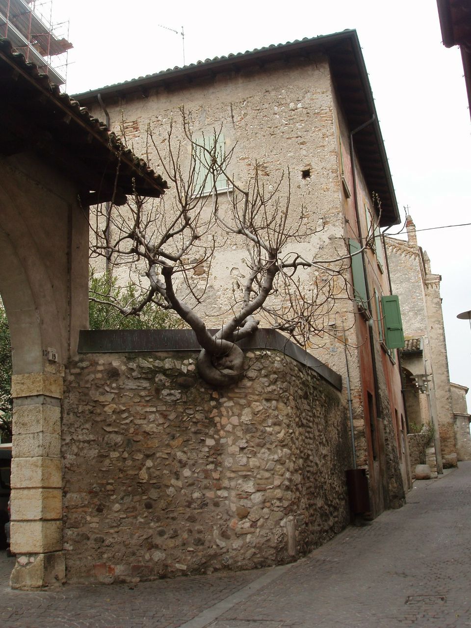 Лидия Кадацкая | Санкт-Петербург