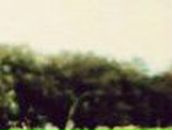 Рушан Атауллин | Москва