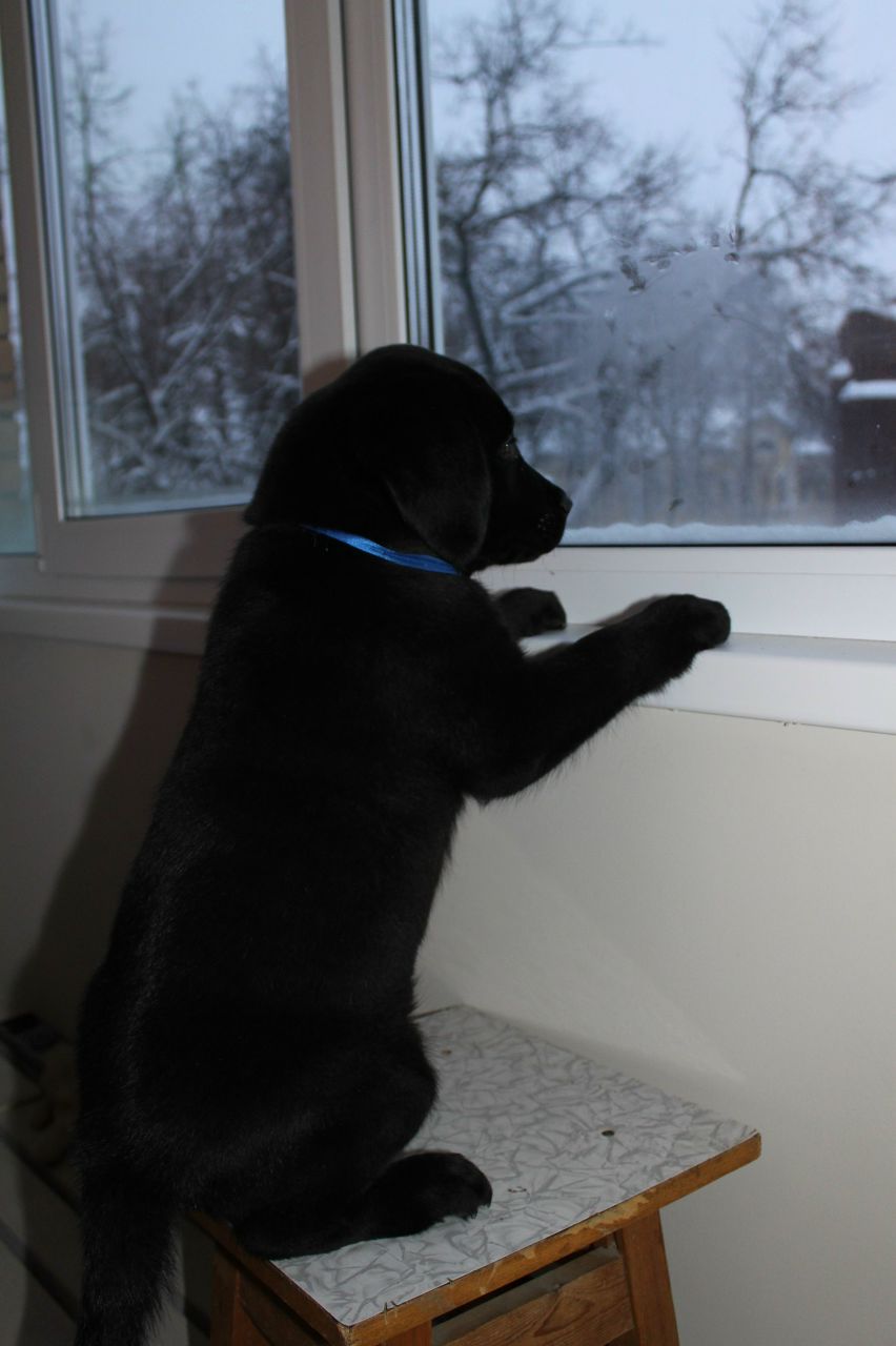 Светлана Мочаловская | Люберцы