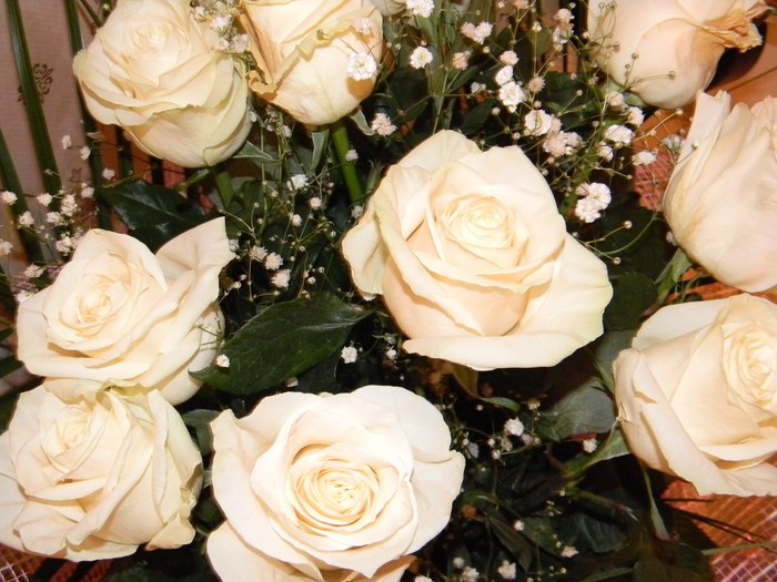 Юлия Хребтищева | Тамбов