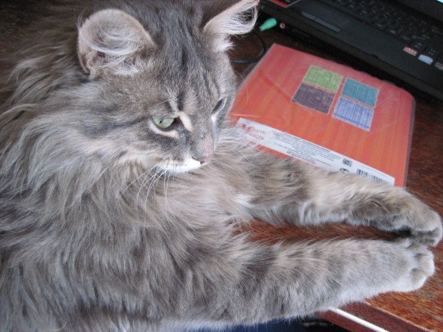 Лола Ибрагимова | Миасс