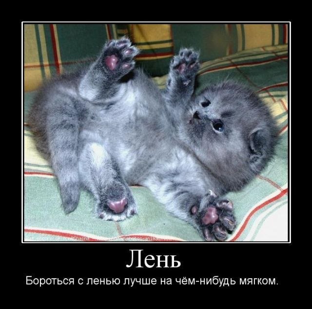 Василь Щупак | Львов