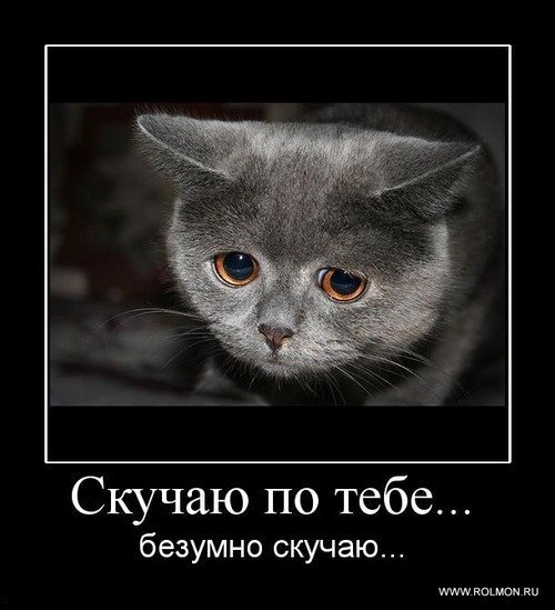 Ирина Бочкарева | Ижевск