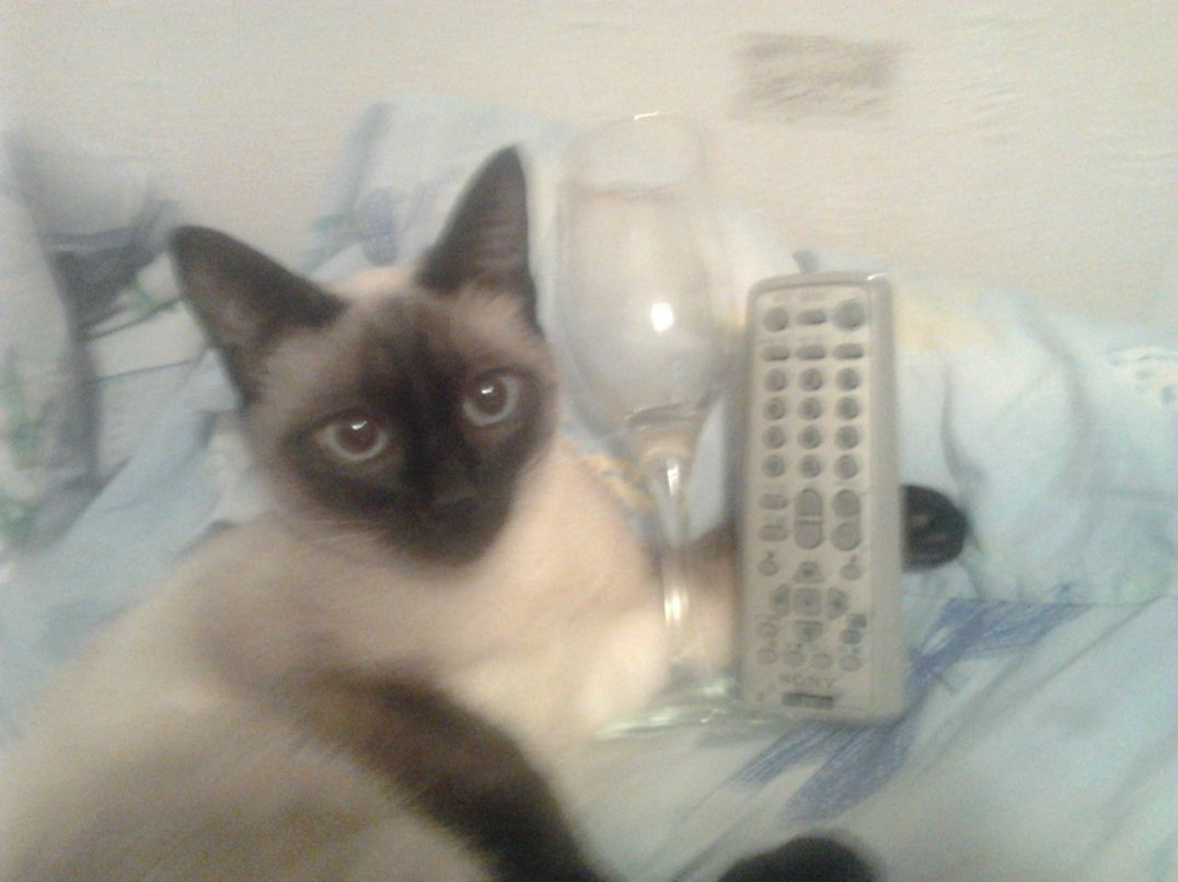 Галина Кусюмова | Санкт-Петербург