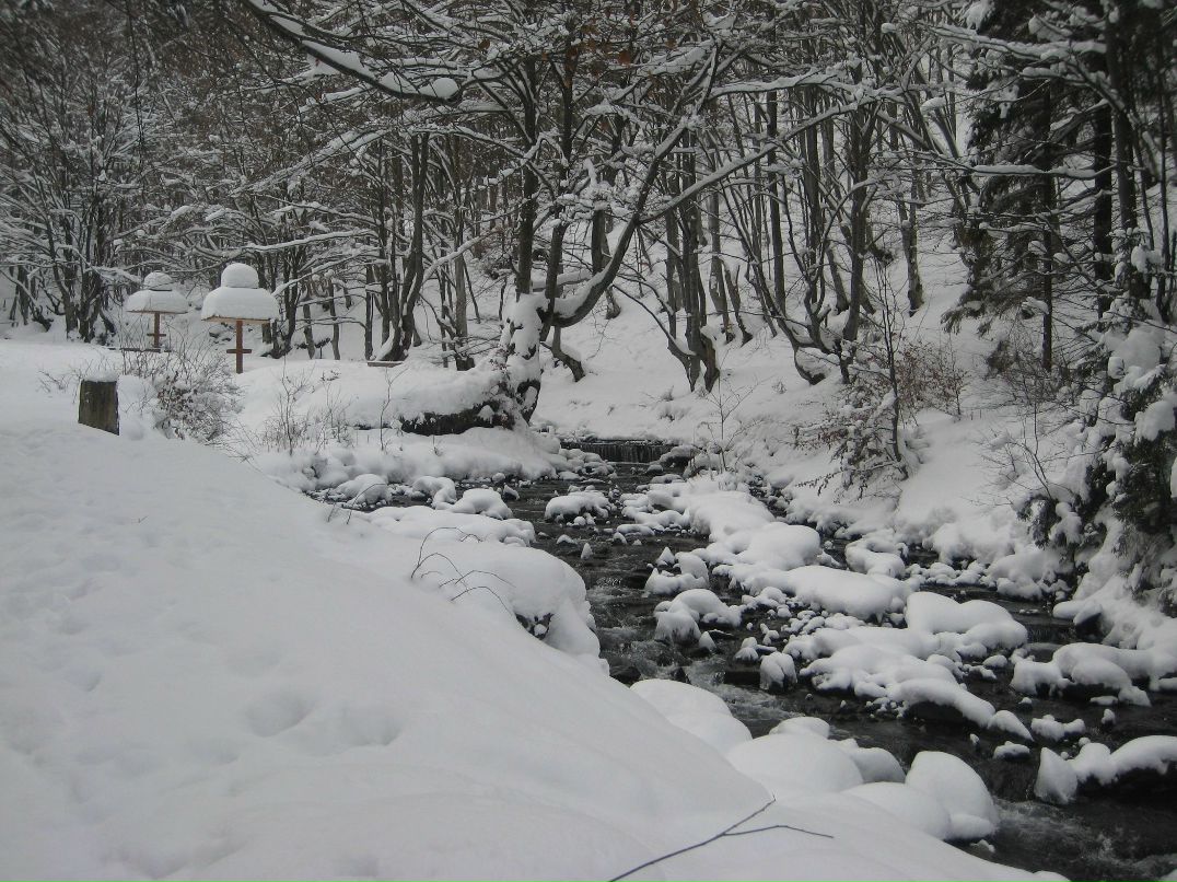 Віктор Русин viktorovuch | Берегово