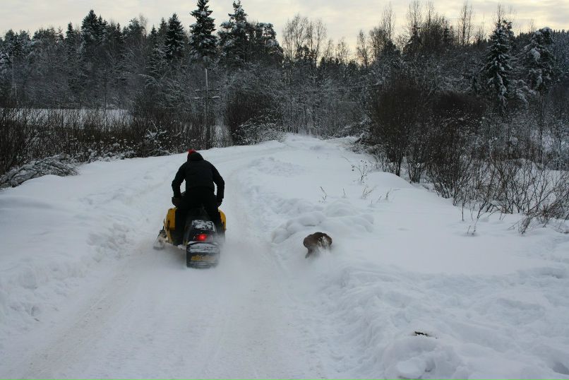 Дмитрий Старожитник | Сортавала