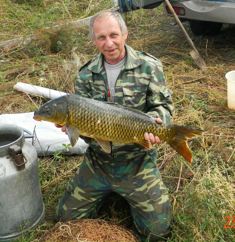 Андрей Кривцов | Боготол