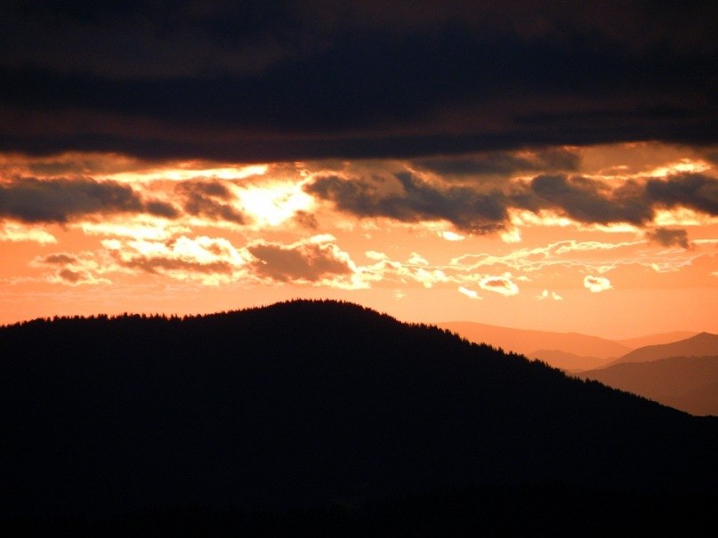 Наталія Тацишин-Войчишин | Ивано-Франковск