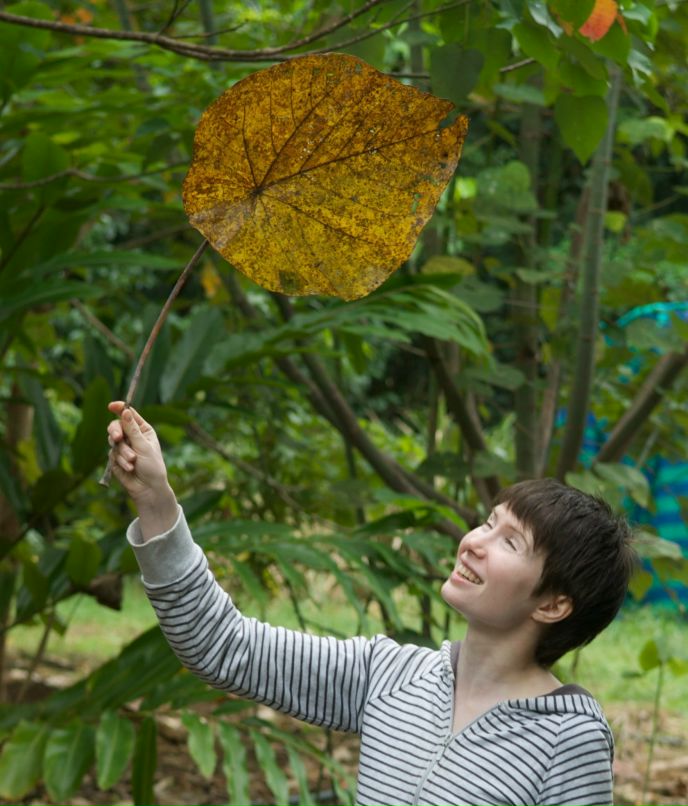 Дрю Святицкий | Melbourne