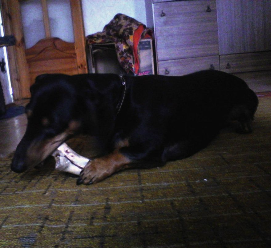 Алексей Клышейко | Минск