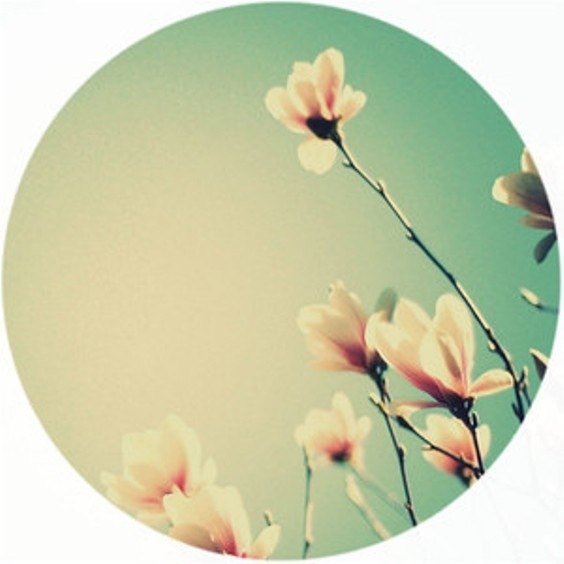 Маша Любимова | 