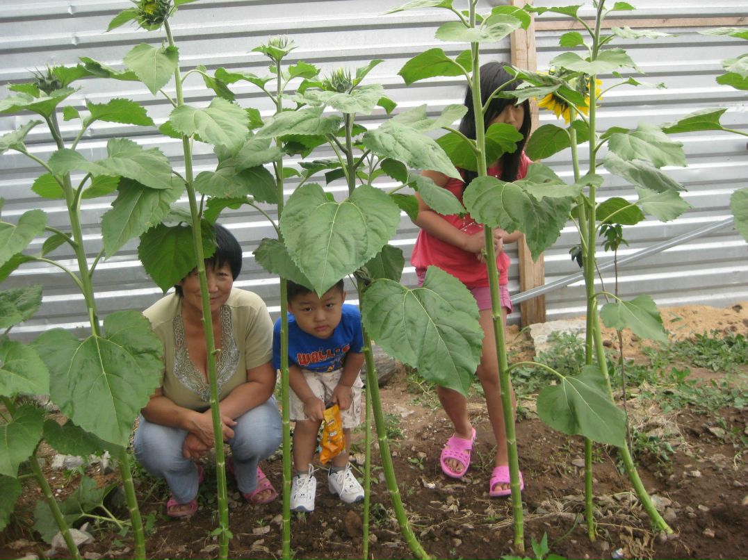 Таисия Хегай | 