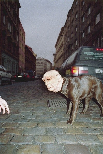 Александра Лычагина | Москва