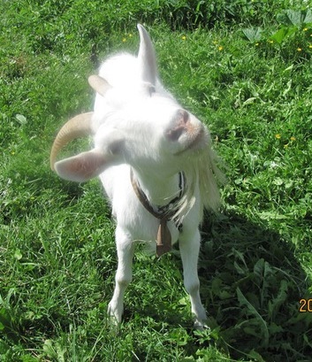 №18, Алеся Житлухина, 46 лет, Санкт-Петербург №18, Алеся Житлухина, 46 лет, Санкт-Петербург