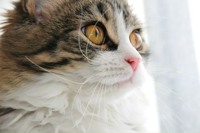 Антон Салянский | Мурманск