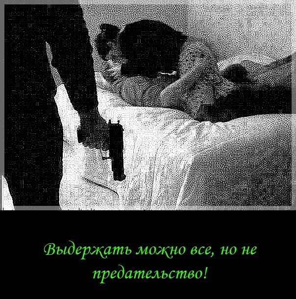 Мишутка Крылов | Мурманск