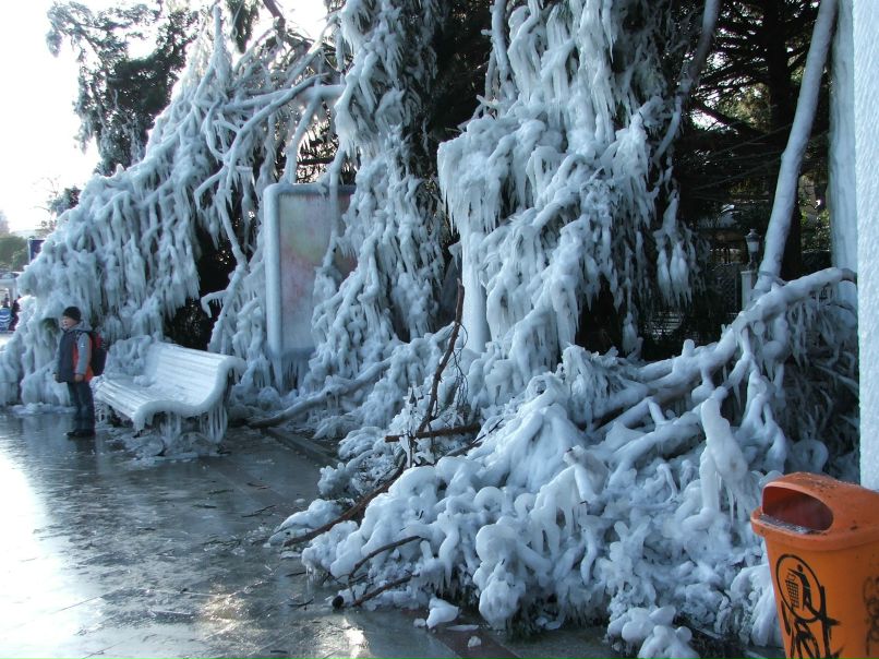 Valentina Tarasevich | Ялта