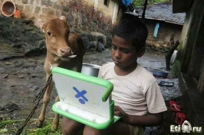 №98, Дмитрий Калачоф, 46 лет, New Delhi №98, Дмитрий Калачоф, 46 лет, New Delhi