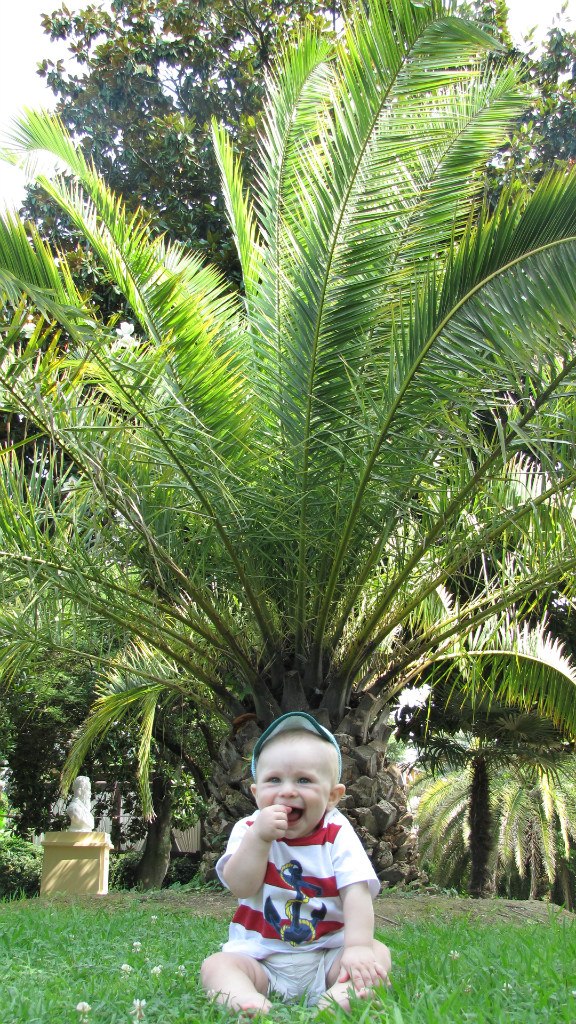 Владимир Топилин | Москва