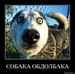 Женя Бубочка фотография #15