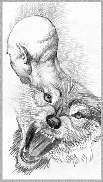 №23, Sefs Седых, 39 лет №23, Sefs Седых, 39 лет