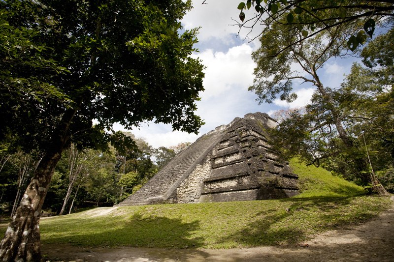Дмитрий Шеврин | Москва