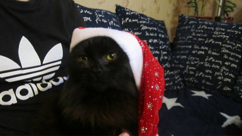 Лена Бадаква | Великий Новгород