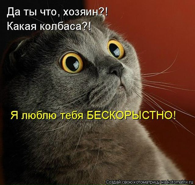 №31, Анна Целухина №31, Анна Целухина