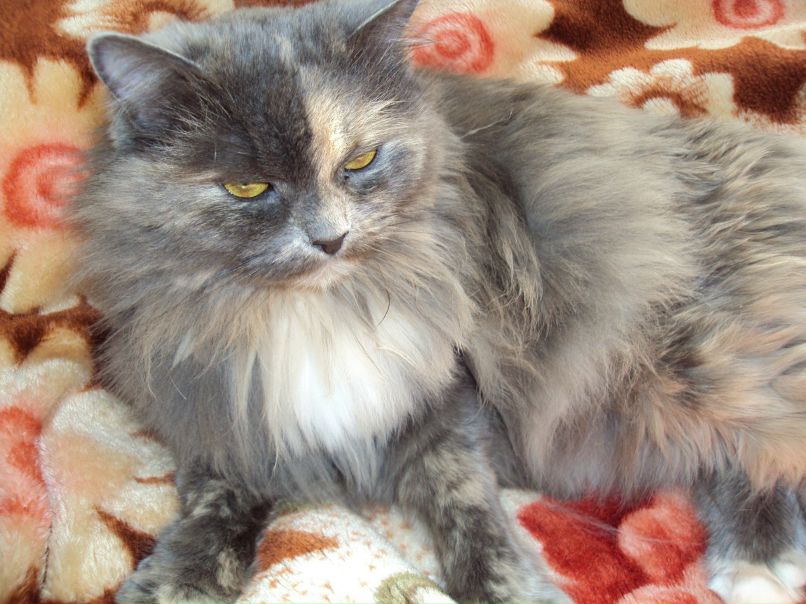 Ольга Владимирова | Москва