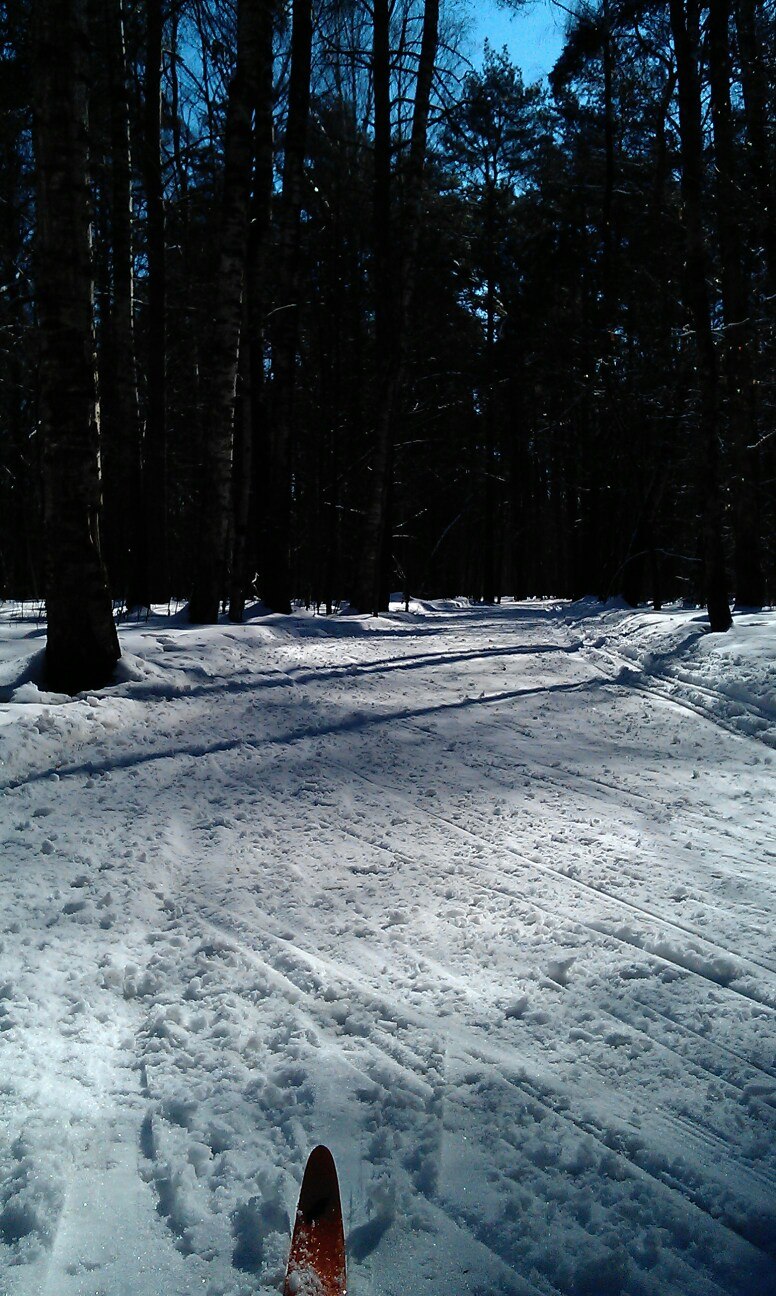 Александр Волков | Москва