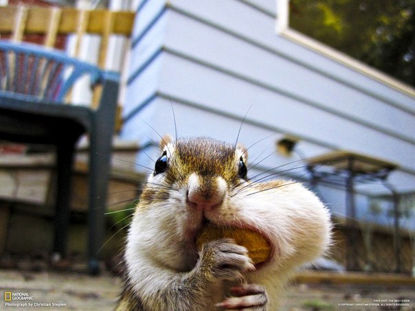Павел Хамутовский | Калининград