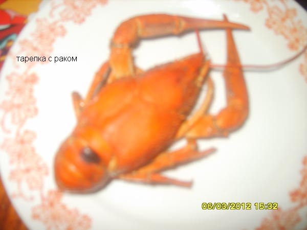 Александр Тарасов | Ижевск