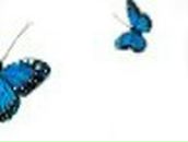 Liuda Munko | Тернополь