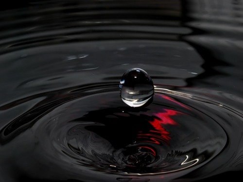 Me You who's the fuck are u | Los Angeles