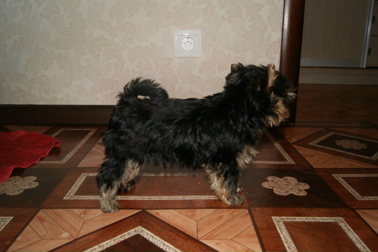 Евгения Рожкова | Самара