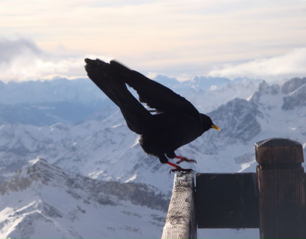 Ольга Князева | Москва