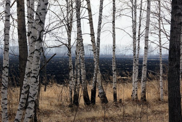 №2, Юрий Сапаров №2, Юрий Сапаров