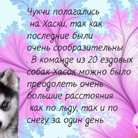 Елена Калмыкова