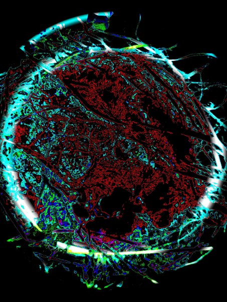 Илья Синькевич