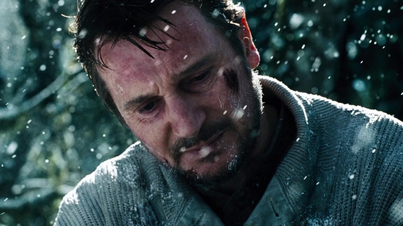 СПОЙЛЕРЫ The Grey 2011 финальный эпизод (правильный перевод от