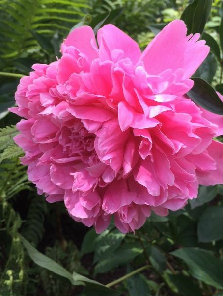 Таня Бабенко, Россия, Тюмень