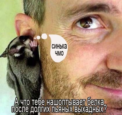 №4, Александр Прокопьев, 44 года, Кемерово №4, Александр Прокопьев, 44 года, Кемерово