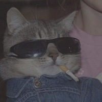 Герман Соколов