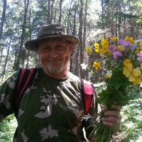 Владимир Колесников