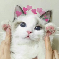 Витя Калюжный