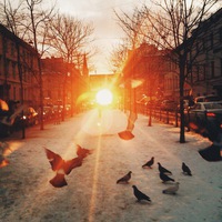 Светлана Андреевна