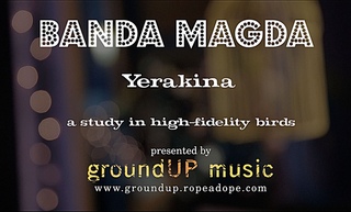 Yerakina - A Study in High Fidelity Birds