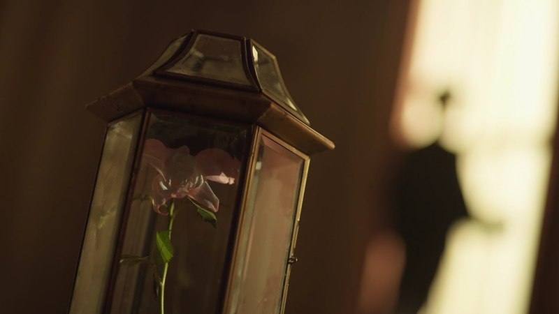 BTS (방탄소년단) FAKE LOVE Official MV ( Extended ver.